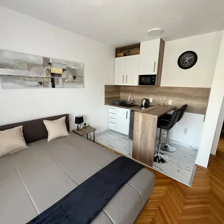 Grbavica With Parking アパート