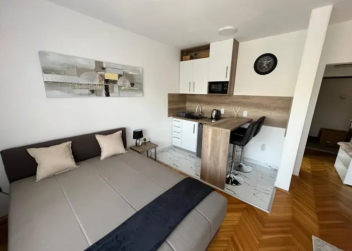 Grbavica With Parking アパート